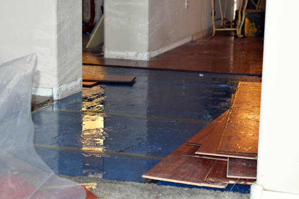 Professional Basement Flood Cleanup technician working in Meriden, WY
